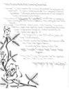 The Rose And Her Lonely Garden