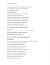 Dreaming Of A Rainbow
