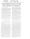Prison Subculture And Crime In America