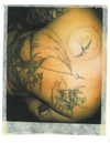 Photos