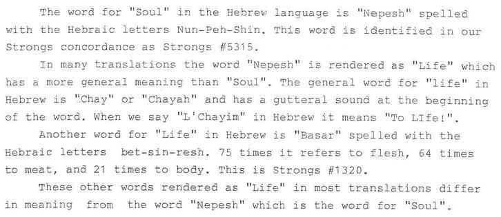Soul Food The Meaning Of "Nepesh"