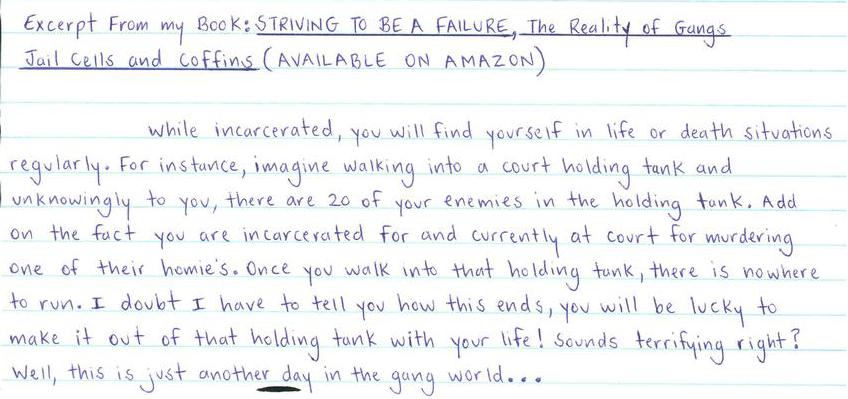 Excerpt from my book: Striving to be a Failure, The Reality of Gangs, Jail Cells and Coffins