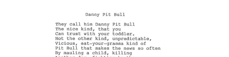 danny Pit bull