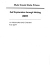 Self Exploration through Writing (SEW)