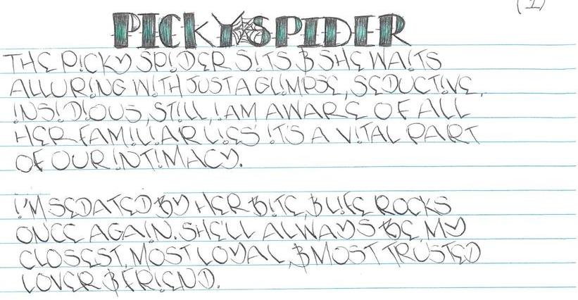 Picky Spider