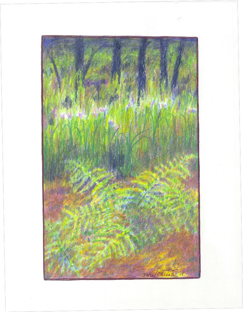 Scanned page