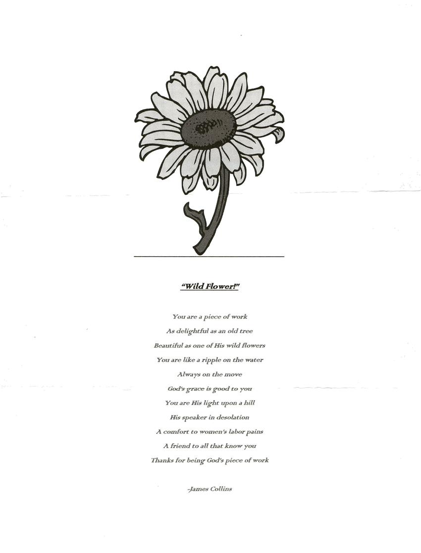 Between The Bars Poems Wild Flower Lonesome Star James Collins