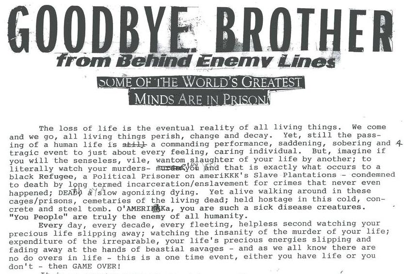 Goodbye Brother: from Behind Enemy Lines
