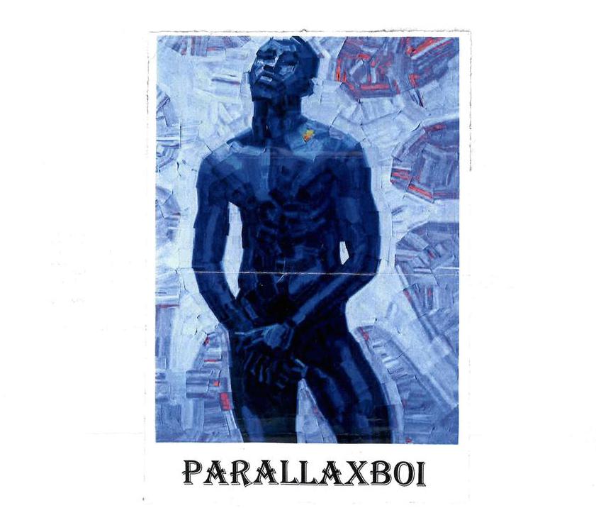 The Parallaxboi Message