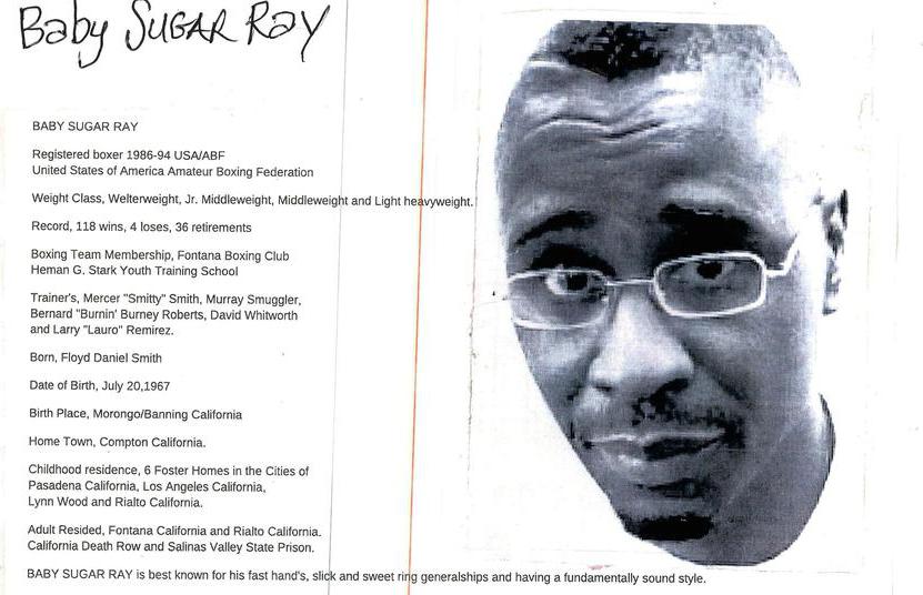 Baby Sugar Ray