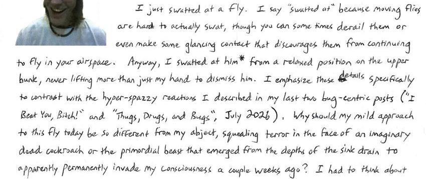 Why Did The Fly Fly? Because The Spider Spied Her
